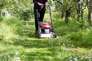 Person mowing a grassy garden lawn for a local task in SPENCER ROAD, W4